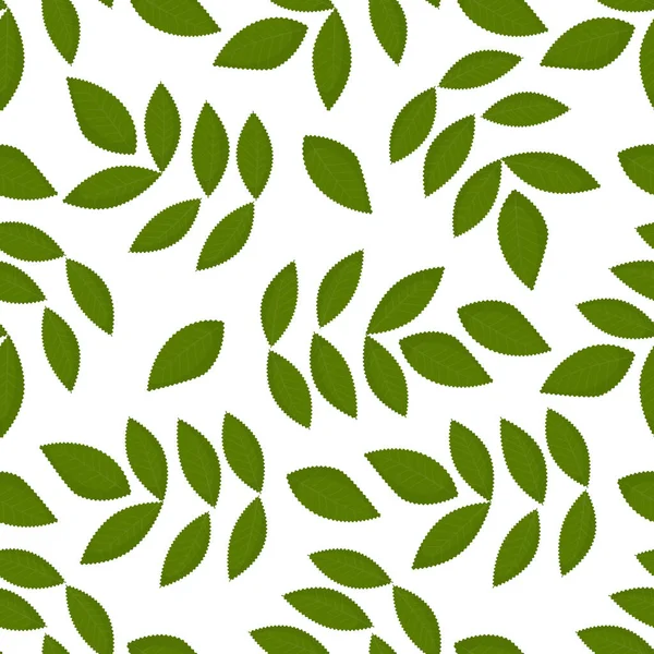 Seamless pattern green leaves. Flat vector template. — Stock Vector