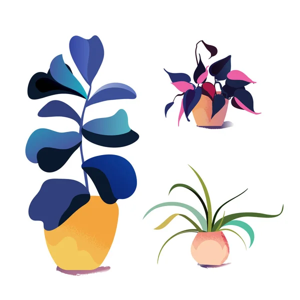 Vector potted huisseplant collectie. Diverse binnenplanten. — Stockvector