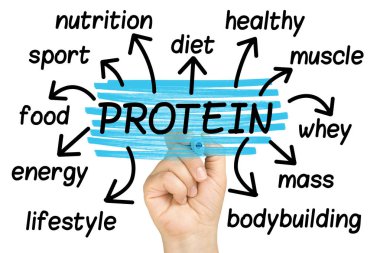 İzole protein Word Cloud veya etiket bulutu
