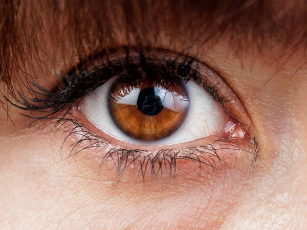 Brown Woman Eye Close — Stock Photo, Image