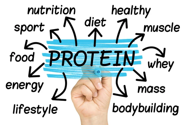 İzole protein Word Cloud veya etiket bulutu