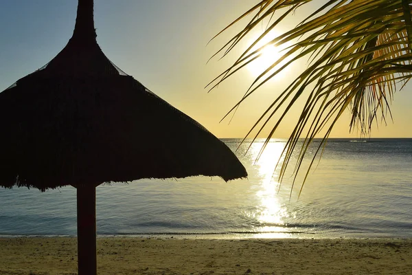 Силуэт Соломы Большой Зонтик Пальмы Закате Тропическом Море — стоковое фото