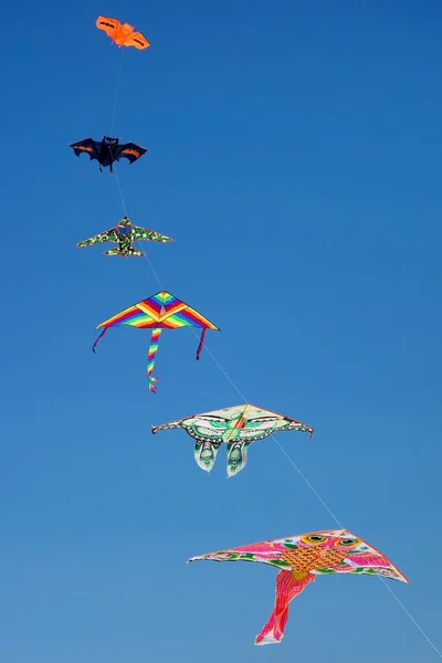 Set Kites Flying Clear Blue Sky — Stock Photo, Image