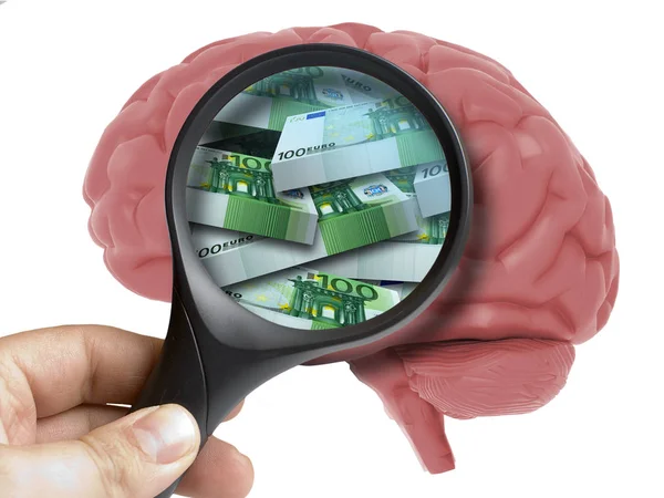 Ανθρώπινο Εγκέφαλο Αναλύονται Μεγεθυντικό Φακό Pack Ευρώ Τραπεζογραμμάτια Μέσα Απομονώνονται — Φωτογραφία Αρχείου