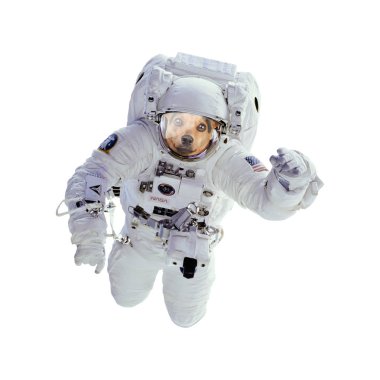 Köpek astronot veya izole uzay adamı. Nasa tarafından sağlanan görüntü unsurları