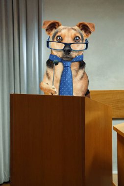 Kravat ve mikrofon ile podyum minber, kamu konuşma sahip gözlük iş köpeği