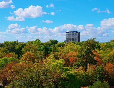 Sonbahar ormanıyla çevrili city gökdelen