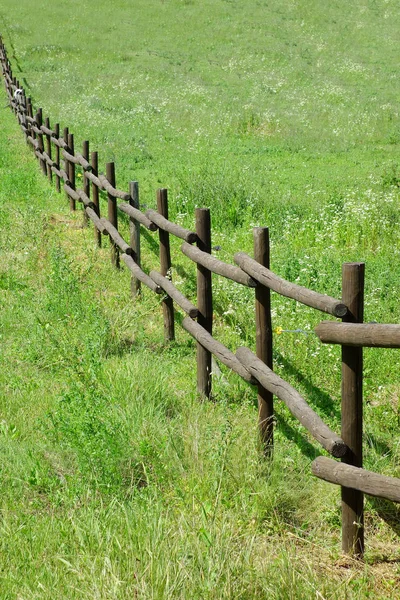 牧草地の柵は — ストック写真