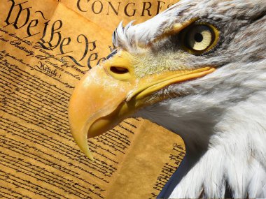 Kartal portre portre sembol Amerikan Anayasası üzerine