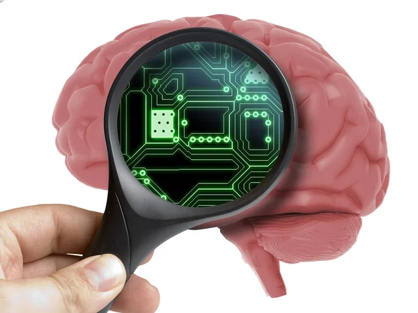 Ανθρώπινο εγκέφαλο αναλύονται με μεγεθυντικό εσωτερικό ηλεκτρονικό κύκλωμα τεχνητής νοημοσύνης που απομονώνονται σε λευκό — Φωτογραφία Αρχείου