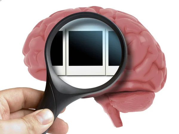 Ανθρώπινο εγκέφαλο αναλύονται με μεγεθυντικό μνήμες στιγμιότυπα polaroid μέσα απομονώνονται σε λευκό — Φωτογραφία Αρχείου