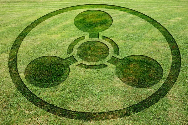 Concentric circles symbols fake crop circle in the meadow