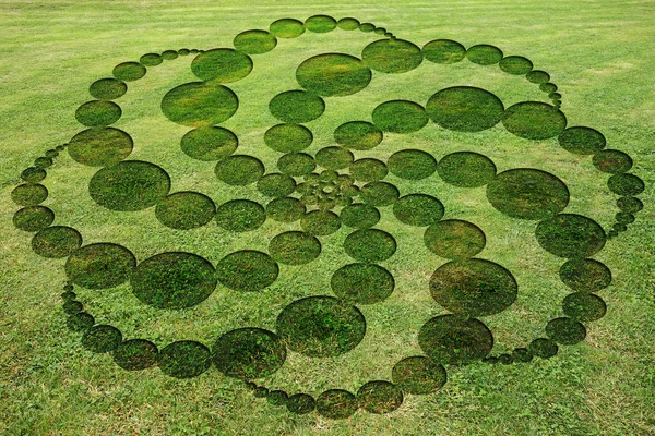 Cerchi concentrici spirali simboli crittografati falso crop circle nel prato — Foto Stock