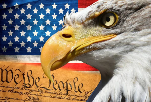 Eagle portrait closeup symbol over usa or us stripes and stars flag and american constitution — Stock Photo, Image