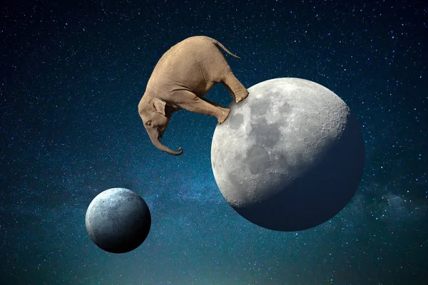 Stor elefant på månen i kosmos — Stockfoto