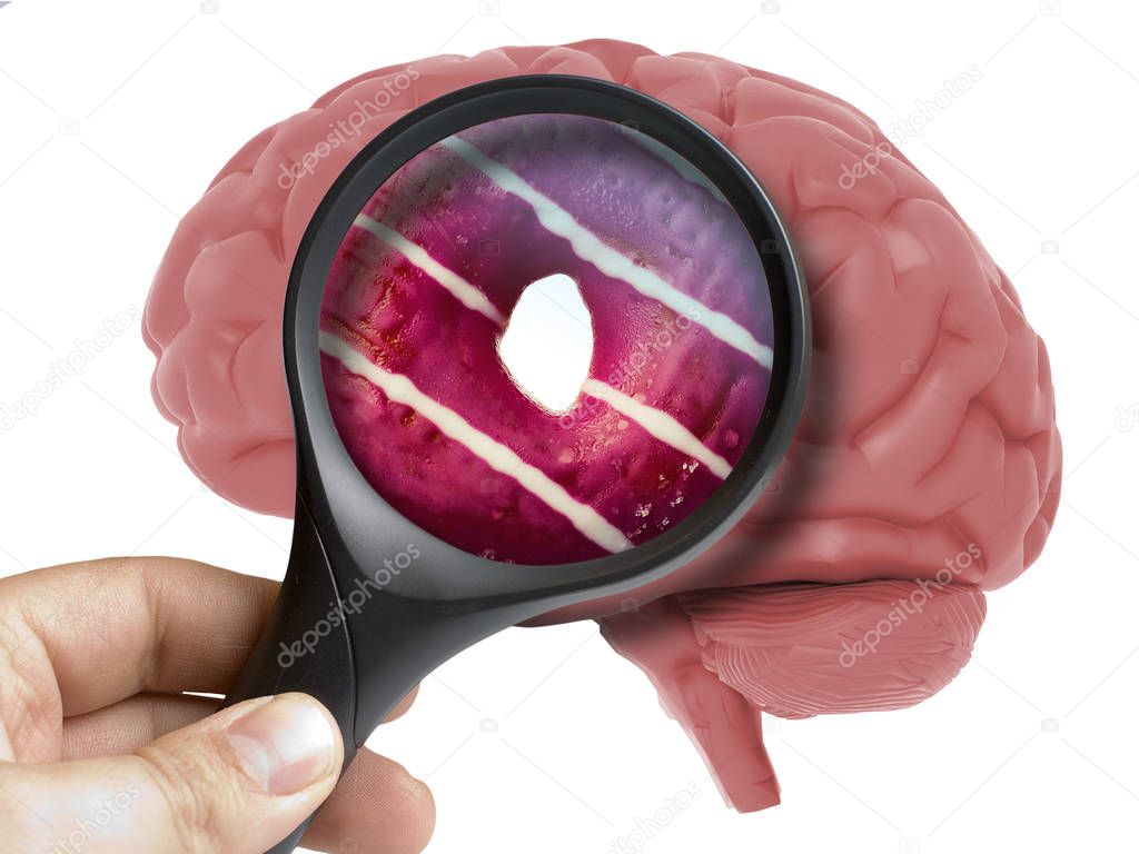 Human Brain Analyzed with magnifying glass donut sweet inside addiction isolated on white