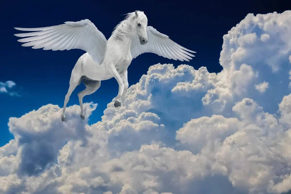 Пегас крилатий легендарний білий кінь літає з розкиданими крилами в хмарному небі — стокове фото