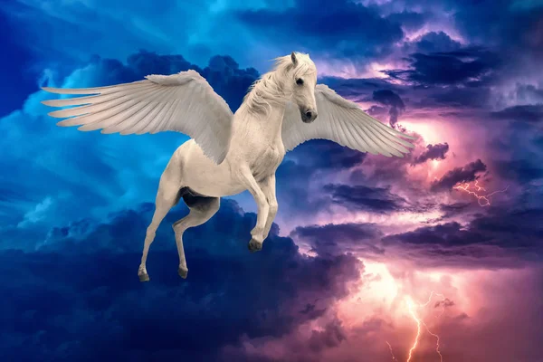 Pegaso alado legendario caballo blanco volando con alas extendidas — Foto de Stock