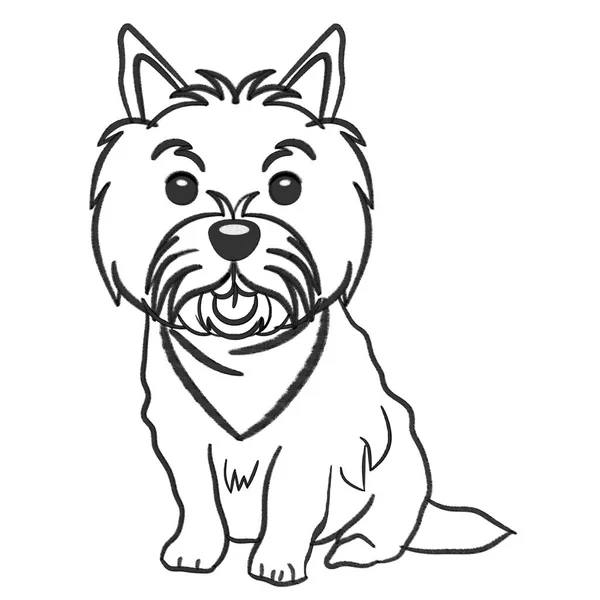 Norwich Terrier Dog Wearing Handkerchief Sit Pencil Drawing Sketch Isolated — Stock Photo, Image