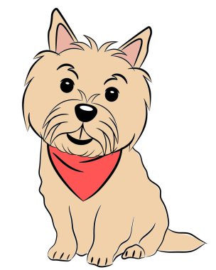 Kırmızı mendil giymiş, gülümseyen Norwich Teriyer köpeği beyaz üzerine izole edilmiş renkli bir çizim oturuyor.