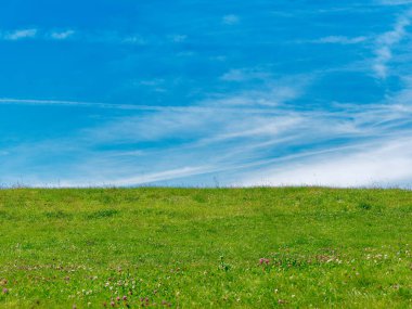 yeşil çayır ve mavi gökyüzü