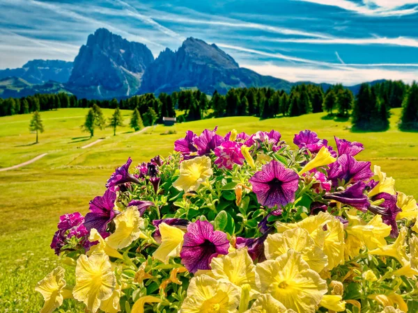 Paisagem Vívida Colorido Montanha Verão Tempo — Fotografia de Stock