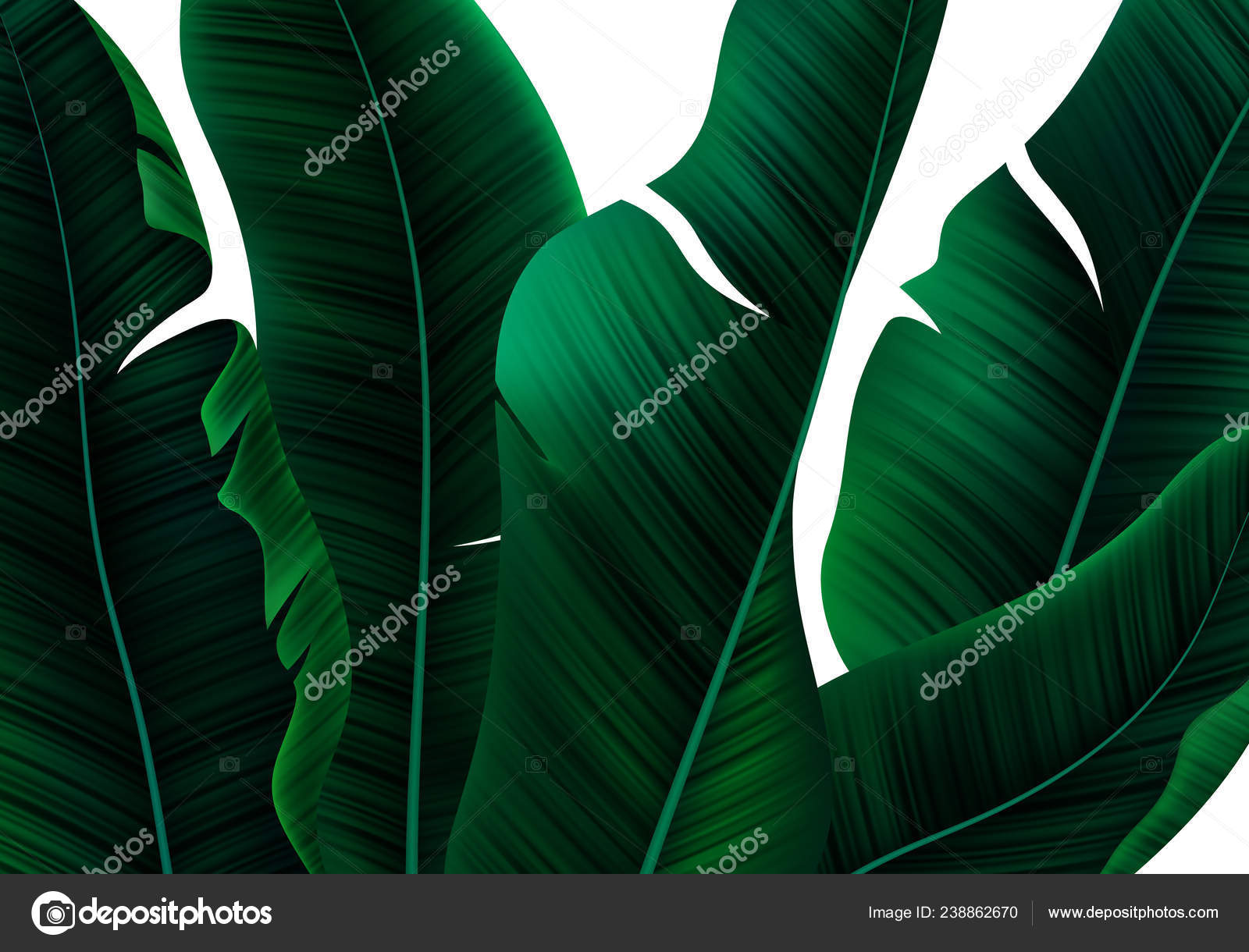 Tropical Realistic Palm Leaves (en inglés). Patrón floral vectorial