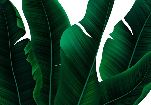 Tropisch realistische Palmenblätter. Vektor florales Muster auf weißem Hintergrund — Stockvektor