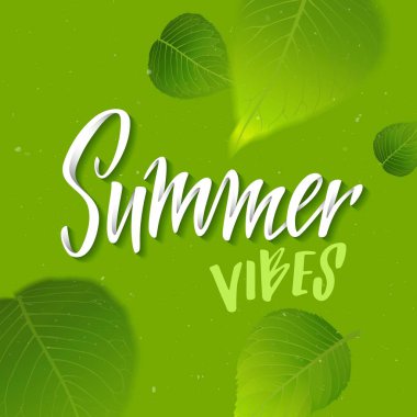 Düşen yaprakları ile yeşil yaz arka plan. Vektör yazı metni el ile mevsimlik Poster. Yaz Vibes Banner tasarımı