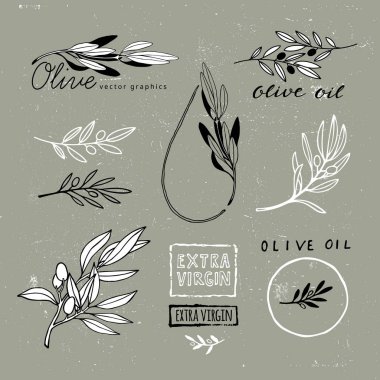 Set of Hand Drawn Olive Branches. Vector Plant Shapes. Illustration for Extra Virgin Olive Oil Packaging clipart