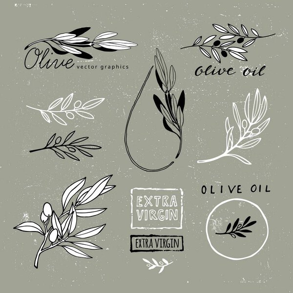 Set of Hand Drawn Olive Branches. Vector Plant Shapes. Illustration for Extra Virgin Olive Oil Packaging