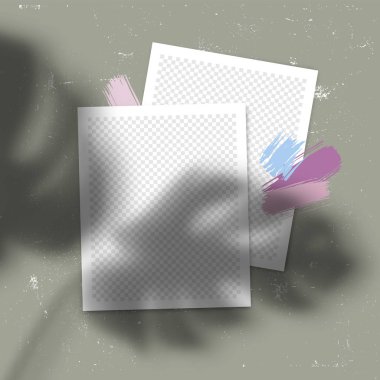Sosyal Ağlar Mesajlar için Trendy Şablon Poster. Fotoğraf Çerçeveleri ve Yaprakları Gölge Kaplamaları ile Vektör Kolaj