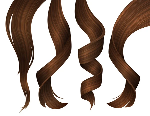 Set of Wavy Strands of Brunette Hair. Ilustrasi 3d Vektor Realistik. - Stok Vektor