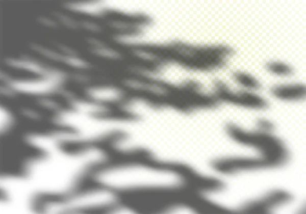Astratto Summer Sunlights sfondo. Sovrapposizione di ombra fogliame grigio vettoriale con luce Bokeh. Foglie naturali ramo dell'albero — Vettoriale Stock