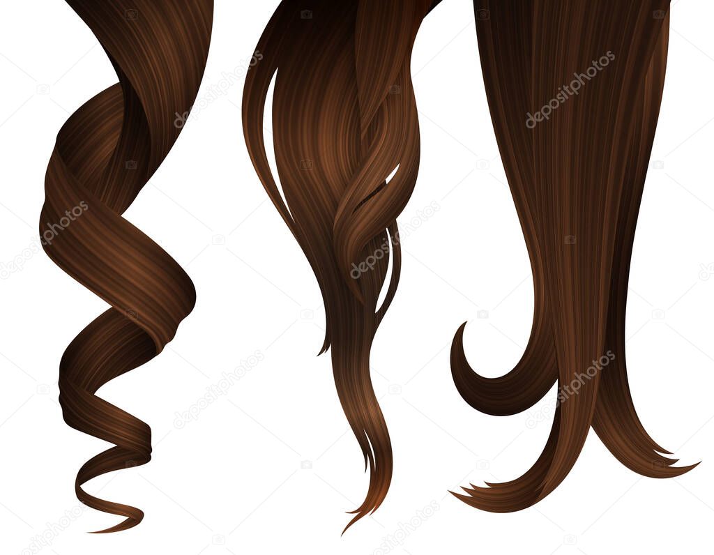 Set of Brunette Wavy Strands of Hair. Vector Realistic 3d Illustration.