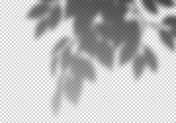 Ombre vectorielle transparente du feuillage. Effet de superposition créatif pour les maquettes — Image vectorielle