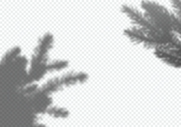 Transparante vectorschaduw van kerstboom. Design Element voor Collage en Mock Up. Decoratieve Overlay Effect voor Mockups, Posters en Nieuwjaar wenskaarten — Stockvector