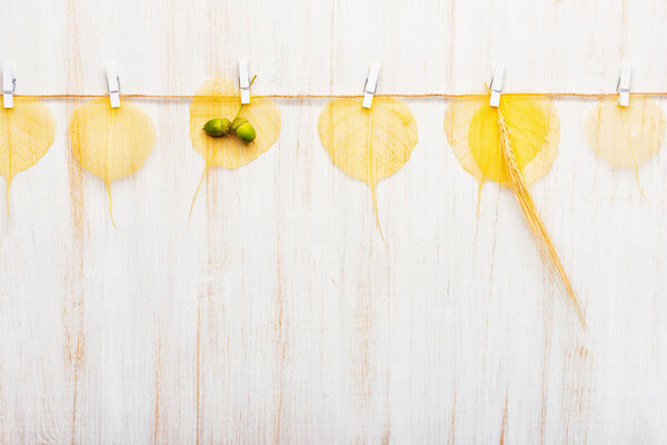 Fall composition. Autumn yellow leaves, oak acorns, wheat hanging with clothespins on wooden background. Flat lay, top view, copy space