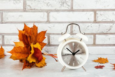 Sonbahar brik arka plan ile sarı ve kırmızı akçaağaç yaprakları, çalar saat. Ağaç gövde dilim kopya alanı ile kesti. Mockup mevsim sonbahar ve tatil kartpostal, üstten görünüm