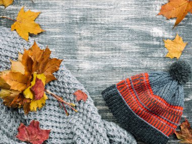 Sarı ve kırmızı akçaağaç yaprakları, gri rahat ekose veya eşarp ve örme kap ile sonbahar ahşap arka plan. Mockup mevsim sonbahar ve tatil kartpostal, görünümü top ve alanı metni kopyalayın