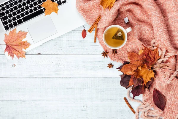 Home office desktop with a laptop, cozy warm pink plaid, cup of hot tea and autumn maple yellow and red leaves. Wooden white table, flat lay. Winter or autumn background, top view