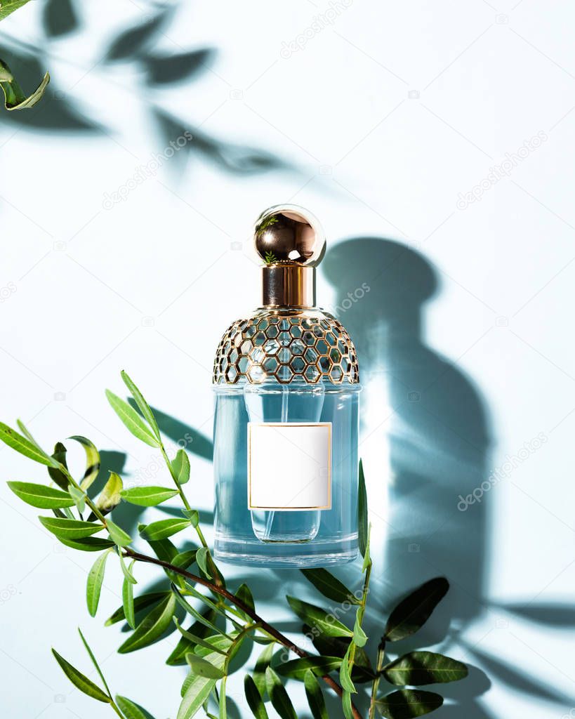 Bottle of perfume with green leaves on a light blue background, Image. Flat lay, top view
