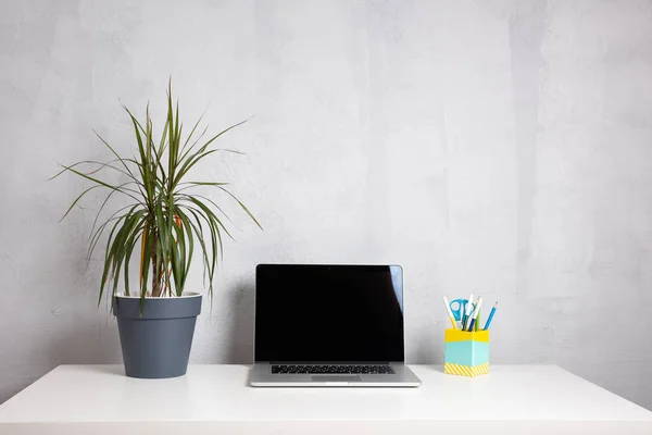 Modern work table with green plant in grey pot and computer laptop