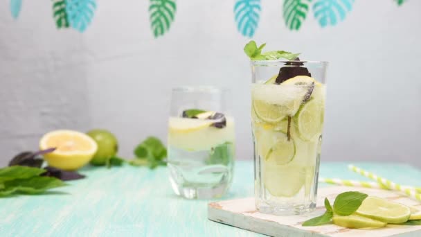 Lemonad Eller Mojito Cocktail Med Citron Lime Och Basilika Kall — Stockvideo