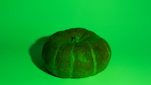 Halloween Pumpkin Colorful Red Green Blue Yellow Light Stop Motion — Stock Video