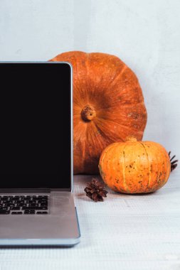 Turuncu kabaklar ve kırmızı mumlar bir masada bir dizüstü bilgisayar yakınında.