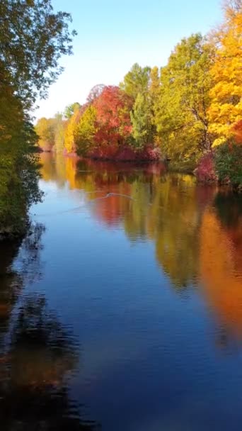 Petersburg Rosja Październik Jesienny Park Rzeka Widok Panoramiczny Fotografia Mobilna — Wideo stockowe