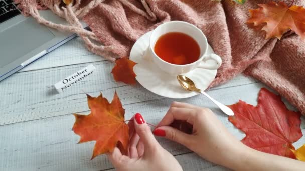 Una Taza Sobre Follaje Amarillo Rojo Aislado Sobre Una Mesa — Vídeo de stock