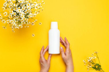 Dişi eller bir şişe özü ya da papatya çiçekli serum tutar. Sarı arka planda nemlendirici yüz kremi ve papatya.