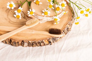 Ağaç diliminde papatya çiçeği olan bambu diş fırçaları. Bej kumaş arka plan. Çevre dostu ve sıfır atık kavramı